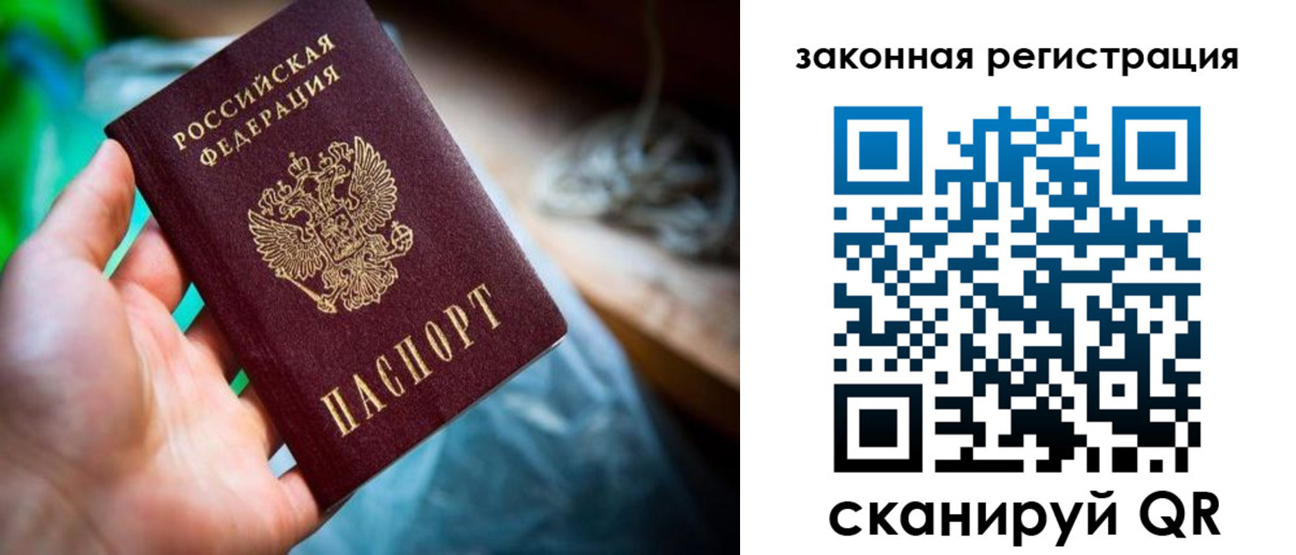 прописка в Плавске
